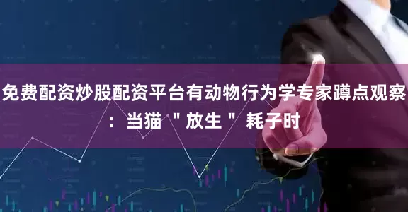 免费配资炒股配资平台有动物行为学专家蹲点观察：当猫 ＂放生＂ 耗子时